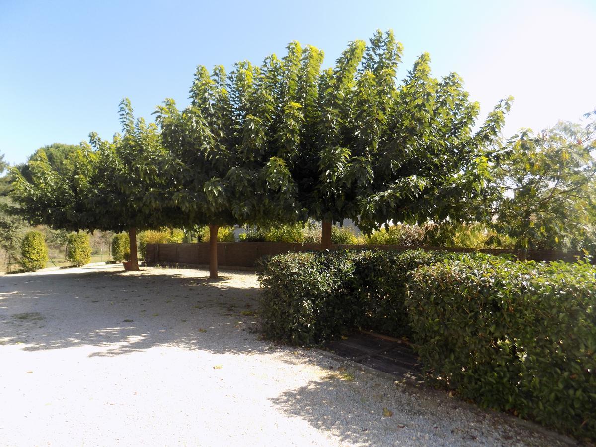 B&B La Vieille Source Saint-Martin-d'Ardeche Ngoại thất bức ảnh